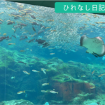 九州旅行(その１：九十九島水族館 海きらら)