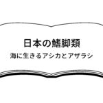 『日本の鰭脚類 海に生きるアシカとアザラシ』の紹介