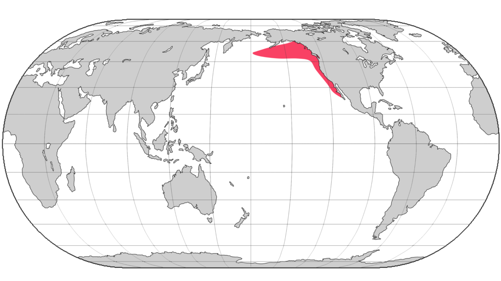 キタゾウアザラシの分布域。