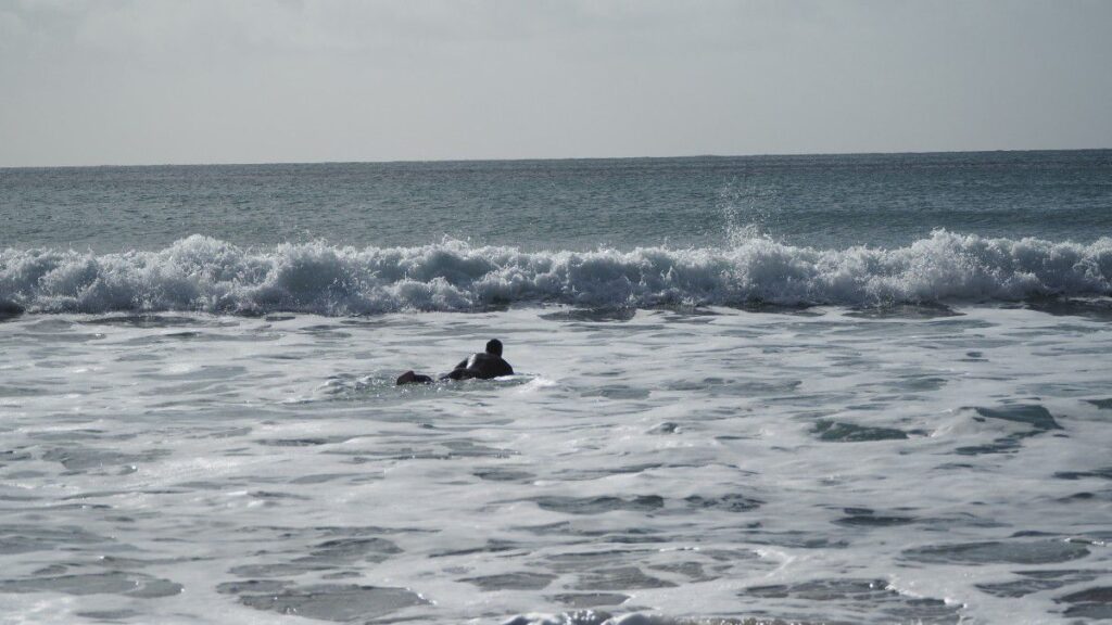 すぐ近くではサーファーが海へ泳いでいた。ゾウアザラシがいる海で泳ぐとはどんな気持ちなんだろうか、、、。