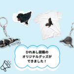 ひれあし図鑑の公式グッズができました！