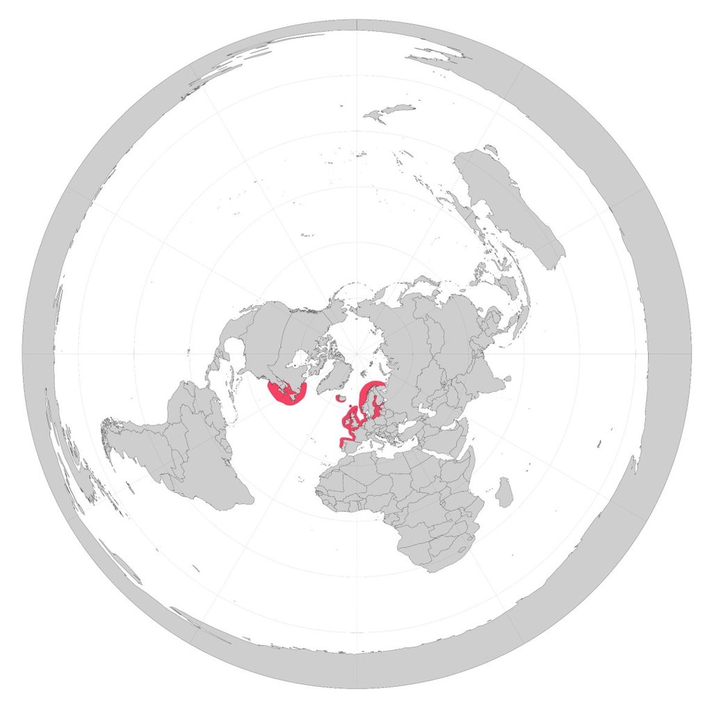gray seal_distribution